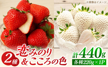 【先行予約 2027年2月～発送】恋みのり・こころの色 220g×2パック いちご