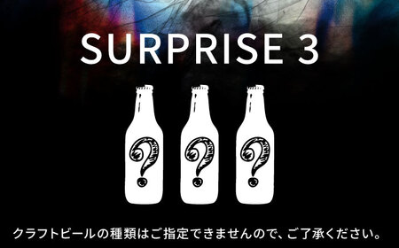 クラフトビール おまかせ3本セット SURPRISE 3【GRANDLINE BREWING】[AKGM005]