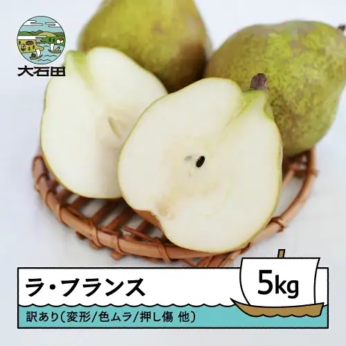 令和8年産 ラ・フランス 洋梨 訳あり 約5kg ns-lawax5