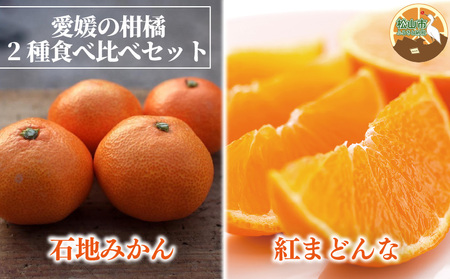 【2026年12月上旬頃から順次発送】 紅まどんな・石地みかん食べ比べセット 【紅まどんな 約3kg】【石地みかん(家庭用・優品) 約5kg】 | 柑橘食べ比べ みかん オレンジ 紅マドンナ 愛果 ミカン mikan 柑橘 かんきつ あいか フルーツ たべくらべ 新鮮 柑橘 ふるーつ 果物 くだもの 期間限定 愛媛県 松山市 ココオ Koko'o【KK334】