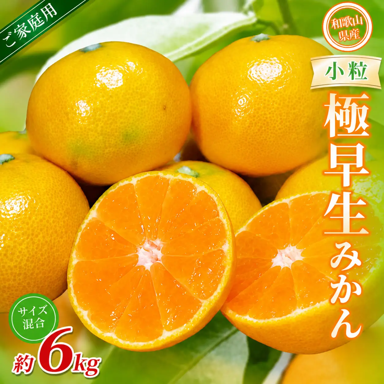 みかん　極早生小粒みかん 約6kg【家庭用】【BV-mrmt053】
