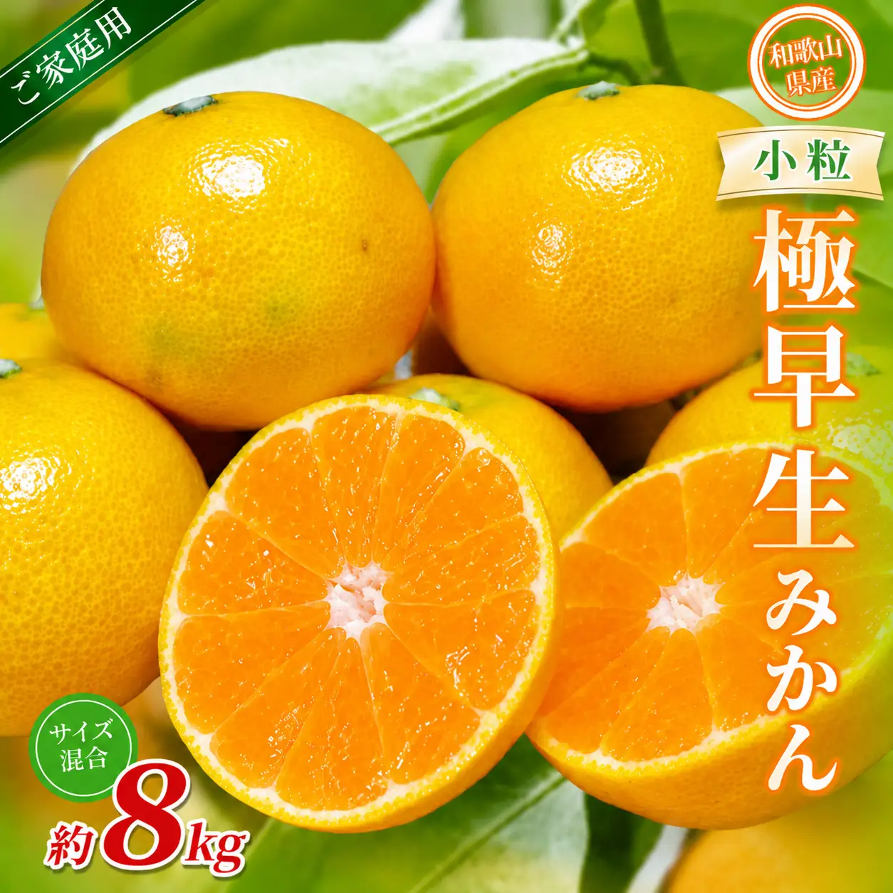 みかん　極早生小粒みかん 約8kg【家庭用】【BV-mrmt054】