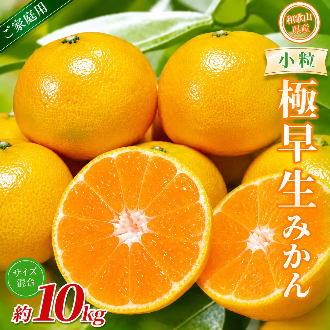 みかん　極早生小粒みかん 約10kg【家庭用】 【BV-mrmt055】