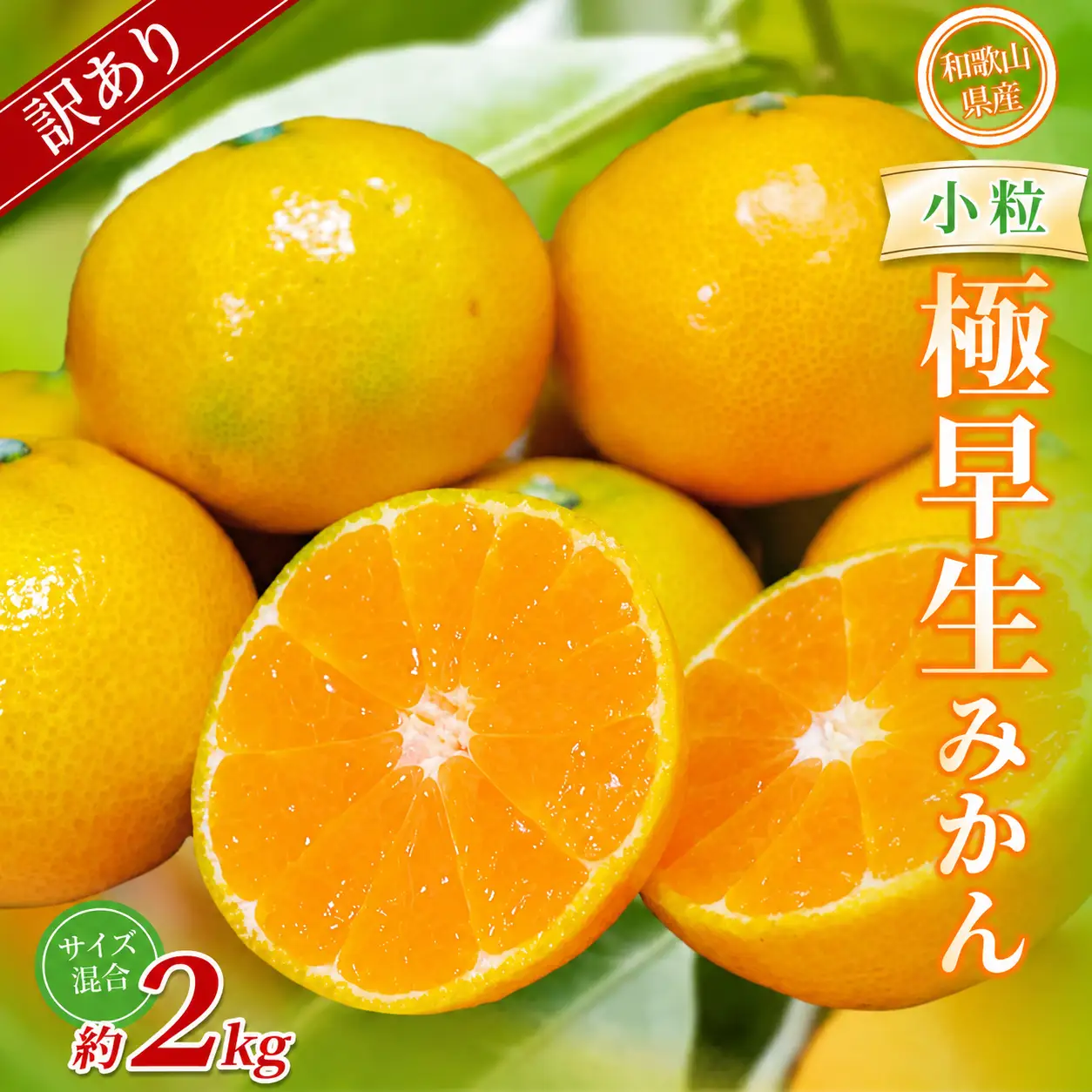みかん　極早生小粒みかん 約2kg【訳あり】 【BV-mrmt056】