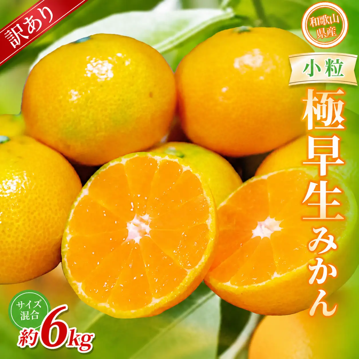 みかん  極早生小粒みかん 約6kg 【訳あり】【BV-mrmt057】