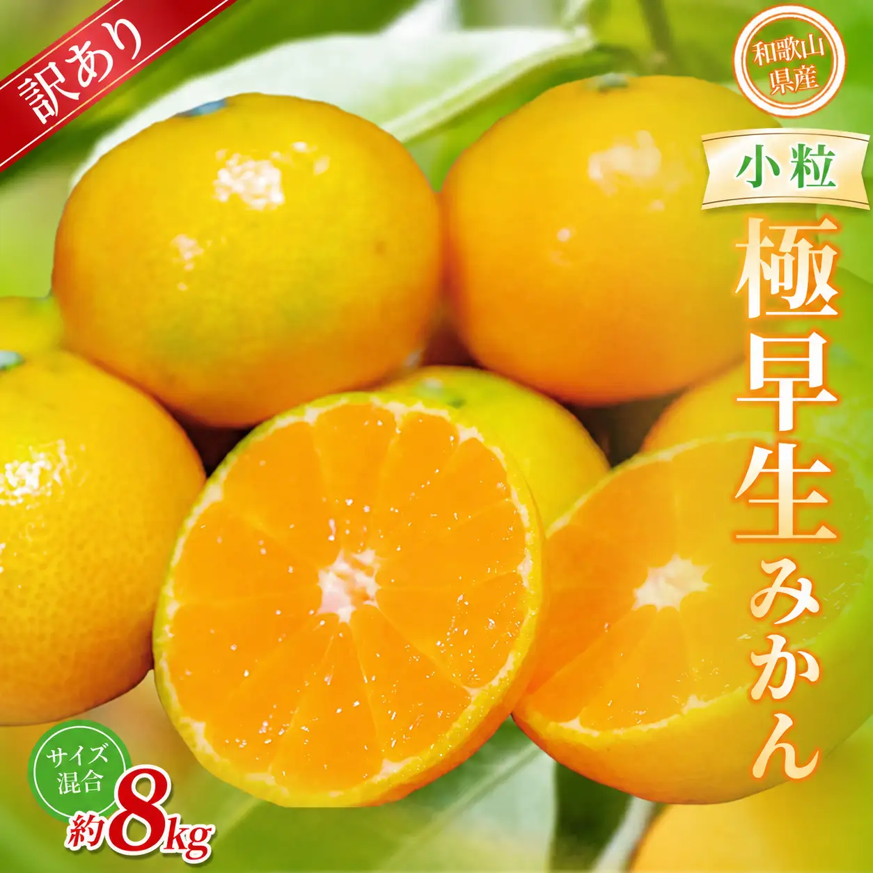 みかん 極早生小粒みかん 約8kg【訳あり】 【BV-mrmt058】