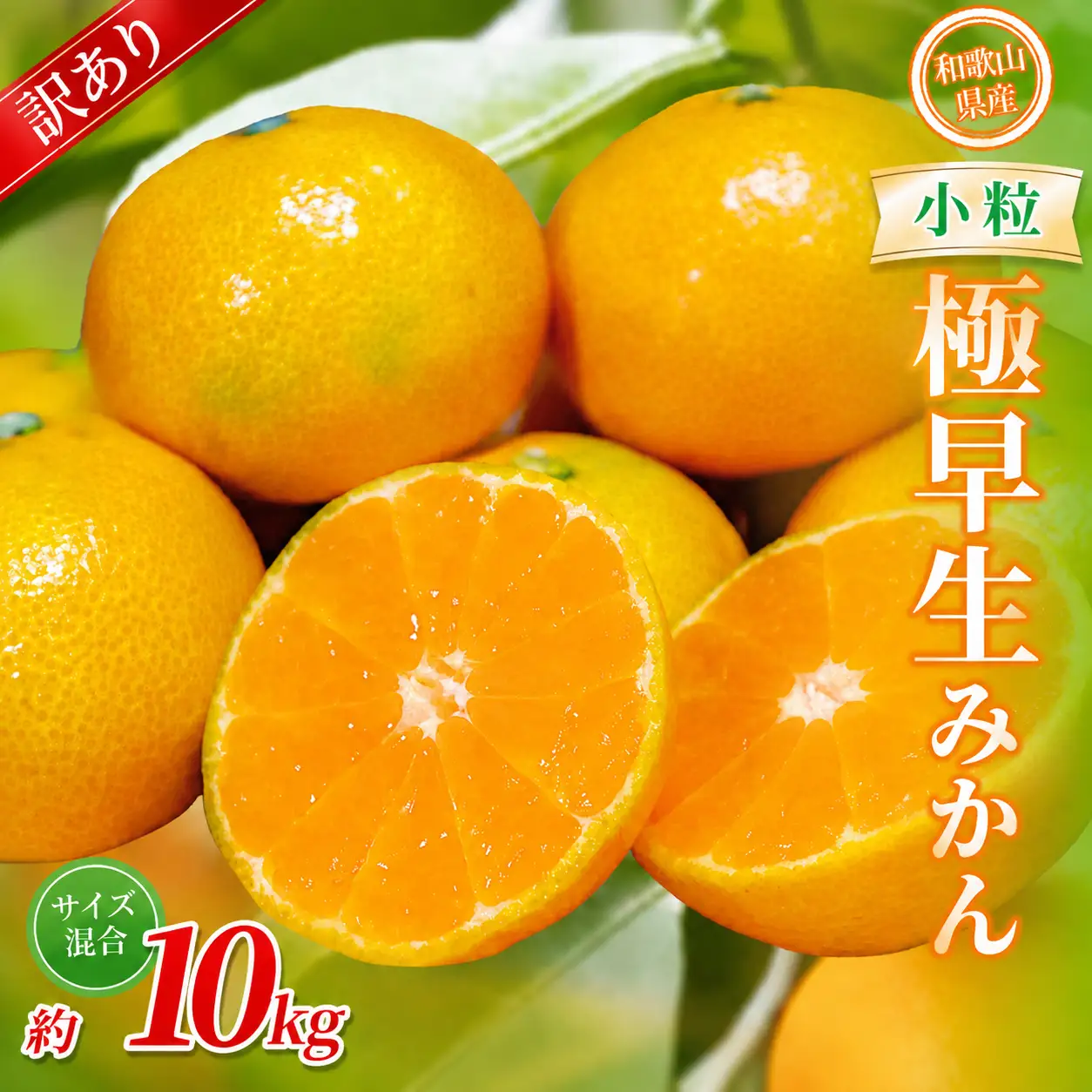  みかん 極早生小粒みかん 約10kg【訳あり】【BV-mrmt059】