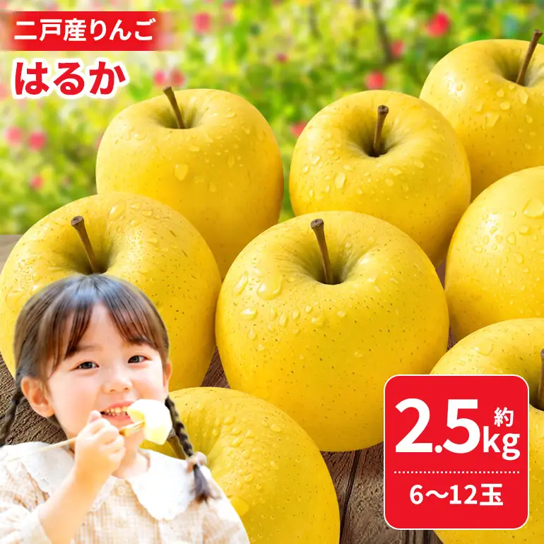 二戸産りんご はるか 約2.5kg (6~12玉) 008-0787x1