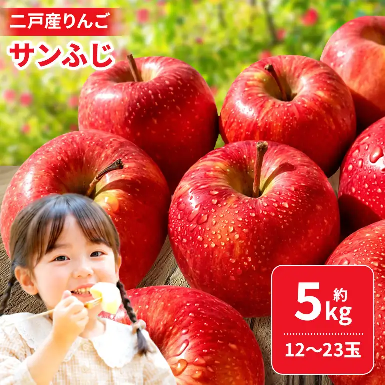 二戸産りんご サンふじ 約5kg (12~23玉) 008-0790x1