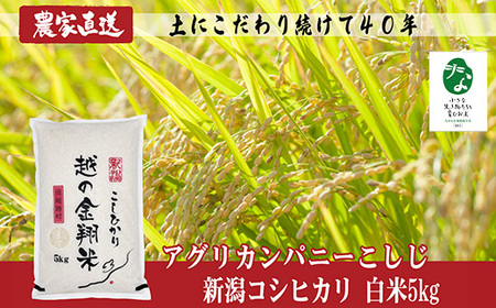 J8-7C051F【越の金翔米】新潟県長岡産コシヒカリ5kg【「小さな生き物たちと育むお米」認証品】