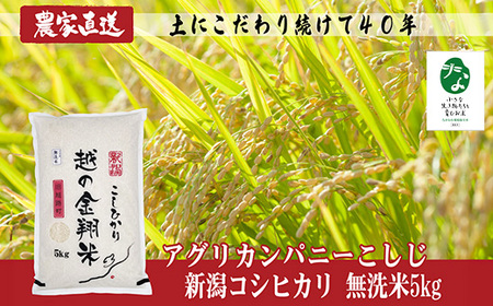 J8-7MC051F【越の金翔米】新潟県長岡産コシヒカリ無洗米5kg【「小さな生き物たちと育むお米」認証品】