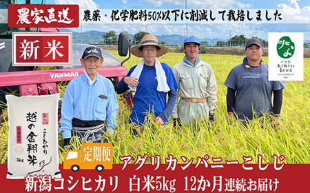 J8-7MC05ZF【12ヶ月連続お届け】新潟県長岡産コシヒカリ無洗米5kg【「小さな生き物たちと育むお米」認証品】