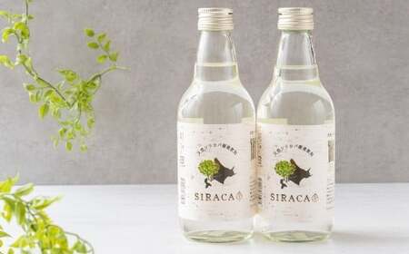 【1ヶ月毎2回定期】 SIRACA Drink 360ml×2本 （合計1.44L） 2回定期便 白樺樹液 シラカバ樹液 白樺 シラカバ 樹液 飲料水 水 セット 定期便 北海道 蘭越町 常温