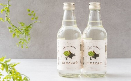 【1ヶ月毎3回定期】 SIRACA Drink 360ml×2本 （合計2.16L） 3回定期便 白樺樹液 シラカバ樹液 白樺 シラカバ 樹液 飲料水 水 セット 定期便 北海道 蘭越町 常温