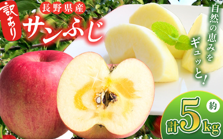 2026年先行予約 訳あり サンふじ 5kg 信州産 | ベジサコ リンゴ りんご 林檎 果物 フルーツ 果実 果汁 サンふじ さんふじ わけあり 訳アリ 長野県 松川村 信州