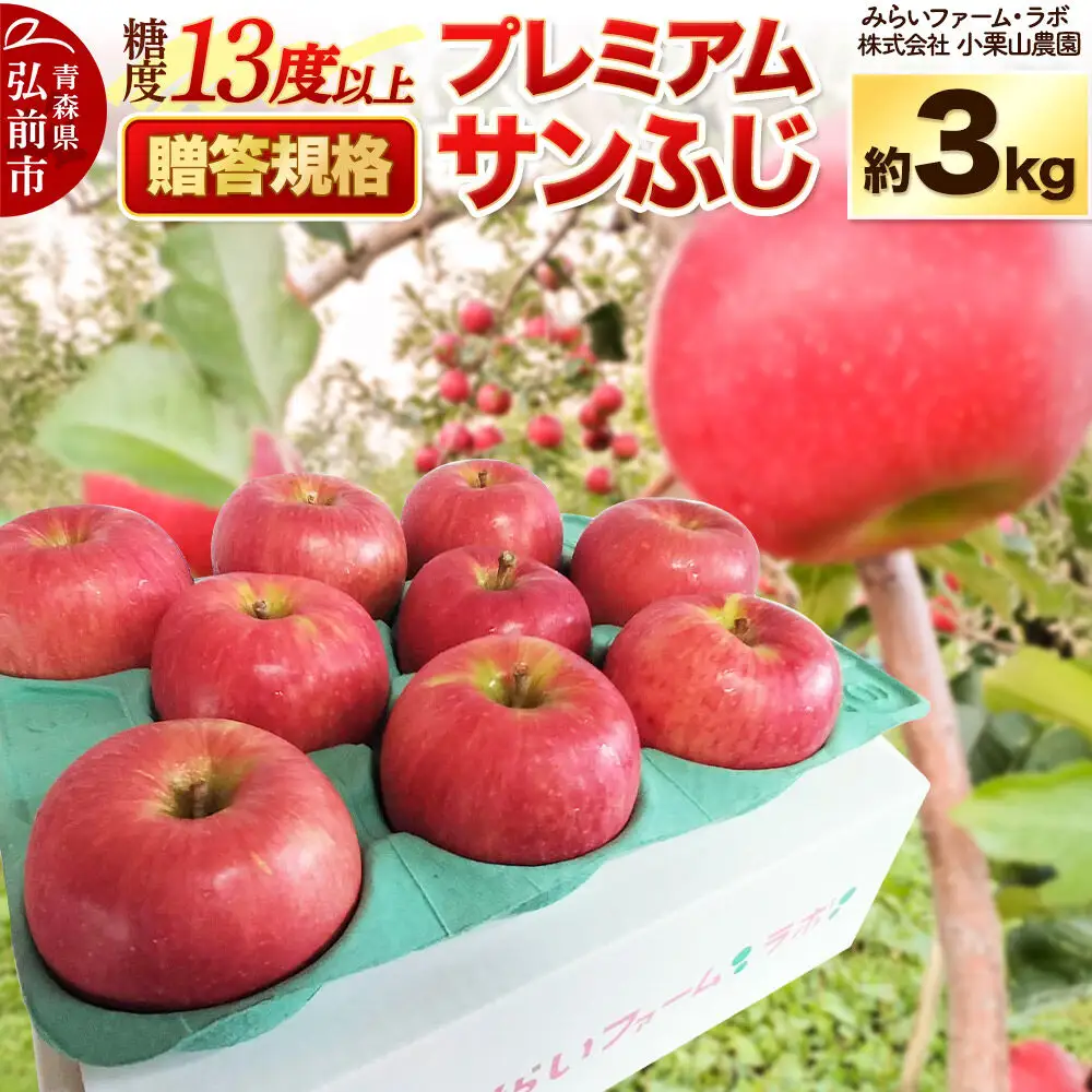 【26年12月発送】りんご 糖度13度以上【贈答規格】プレミアム サンふじ 約3kg 先行受付
