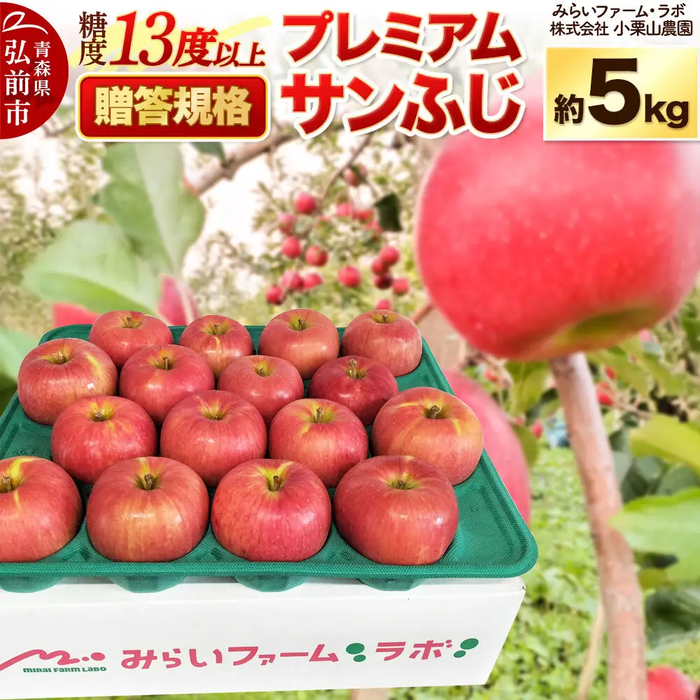 【26年12月発送】りんご 糖度13度以上【贈答規格】プレミアム サンふじ 約5kg 先行受付