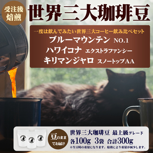 世界三大コーヒー豆 100g×3袋 コーヒー詰め合わせ 【コーヒー豆】