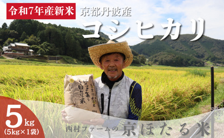 コシヒカリ 5kg 米 お米 京都丹波産 コシヒカリ
