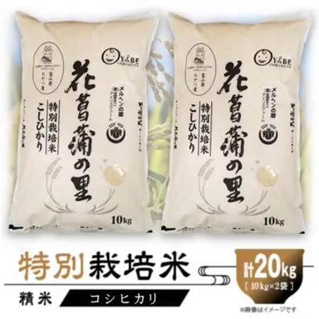 特別栽培米20kg (精米/コシヒカリ10kg×2)【1670507】