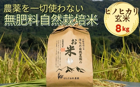 令和7年産 自然栽培米 ヒノヒカリ＜農薬を一切使わない無肥料栽培＞玄米 8kg