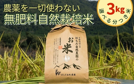 令和7年産 自然栽培米 ヒノヒカリ＜農薬を一切使わない無肥料栽培＞胚芽を残した精米 3kg
