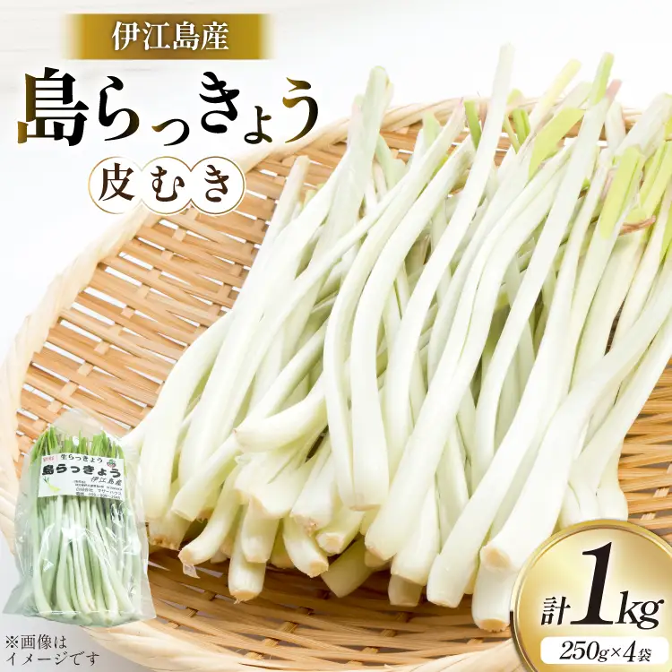 【期間限定発送】島らっきょう 生 皮むき 250g 4袋 計 1kg