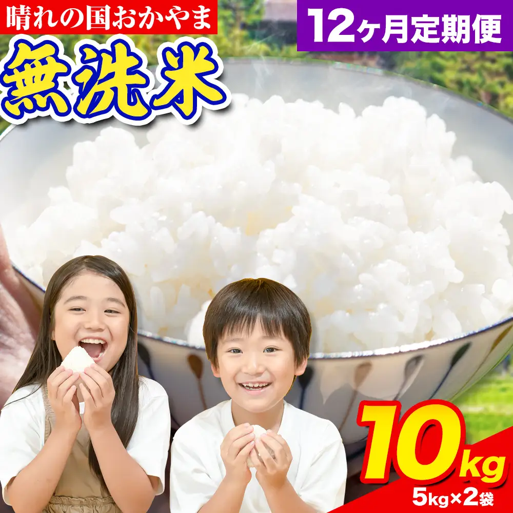 【12ヶ月定期便】晴れの国おかやま無洗米 10kg 無洗