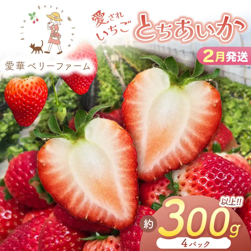 2027年先行予約【2月発送】いちご王国の愛され苺 とちあいか 300ｇ以上4パック（平パック）