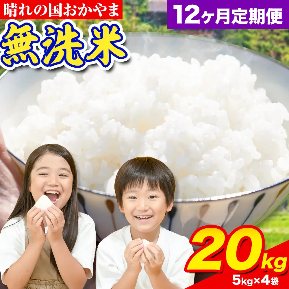 【12ヶ月定期便】晴れの国おかやま無洗米 20kg 無洗