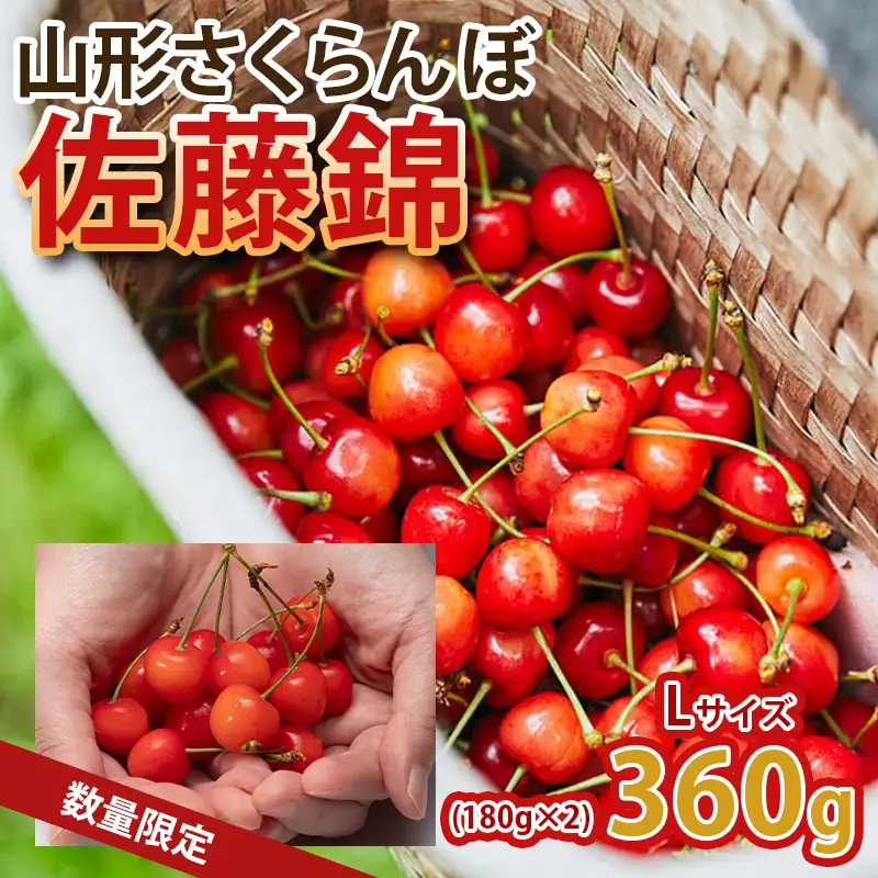 山形旬の果物！さくらんぼが届く！人気サイズ！佐藤錦 360g L玉 【令和9年産先行予約】FS25-061