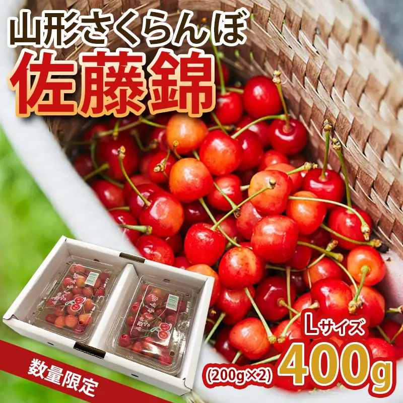 山形の旬な「さくらんぼ」をお届け！佐藤錦 400g L玉 【令和9年産先行予約】FS25-067