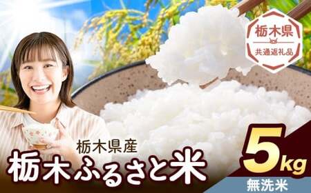無洗米 5kg 便利な栃木ふるさと米《7-14日以内に出荷予定(土日祝除く)》おこめ【栃木県共通返礼品】
