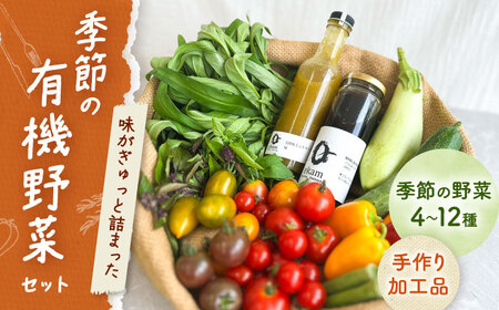 季節の有機野菜セット2〜3人分  [AXBV007] 北海道 旬 詰め合わせ
