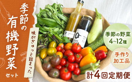 【年4回定期便】 季節の有機野菜セット 2〜3人分  [AXBV009]  北海道 詰め合わせ