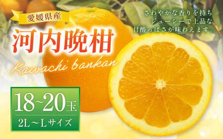 河内晩柑 （宇和ゴールド） 2L～Lサイズ 晩柑 ばんかん 柑橘 果物 くだもの フルーツ【2027年4月上旬～2027年5月上旬発送予定】(522-1)