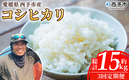 【先行予約】＜令和8年産 愛媛県西予市産 コシヒカリ 5kg（3回定期便）＞ 定期便 お米 コメ こめ 白米 精米 ご飯 新鮮 5キロ 愛媛県産 宇和町産 こしひかり 特産品 もとき農園 愛媛県 西予市【常温】『2026年10月・11月頃から順次発送予定』 UMK0011