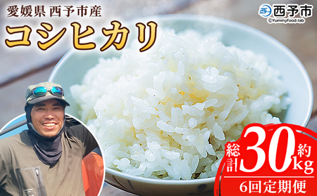 【先行予約】＜令和8年産 愛媛県西予市産 コシヒカリ 5kg（6回定期便）＞ 定期便 お米 コメ こめ 白米 精米 ご飯 新鮮 5キロ 愛媛県産 宇和町産 こしひかり 特産品 もとき農園 愛媛県 西予市【常温】『2026年10月・11月頃から順次発送予定』 UMK0012