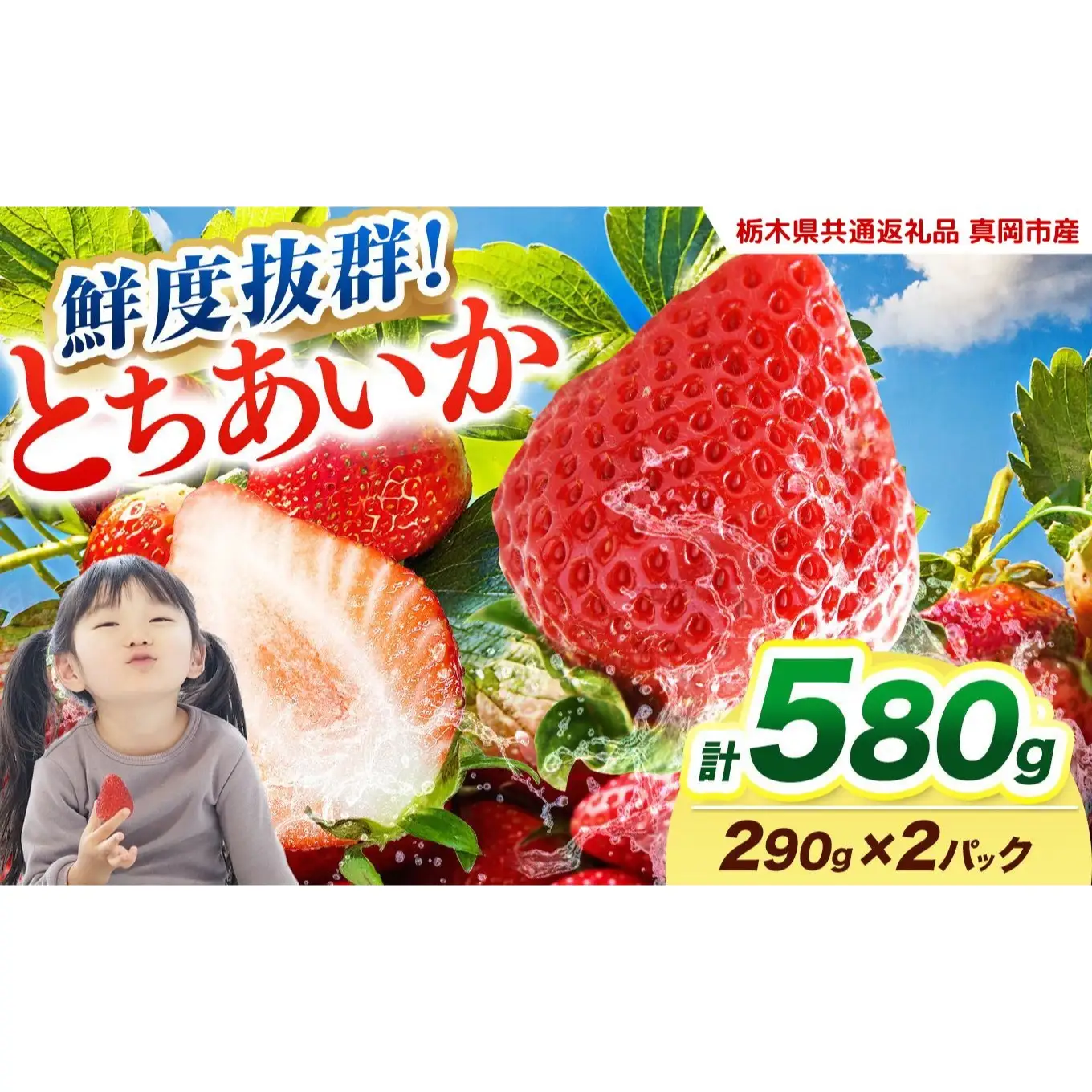  【2027年先行予約】鮮度抜群 いちご とちあいか 290g×2P【栃木県共通返礼品 真岡市産】 栃木県矢板市