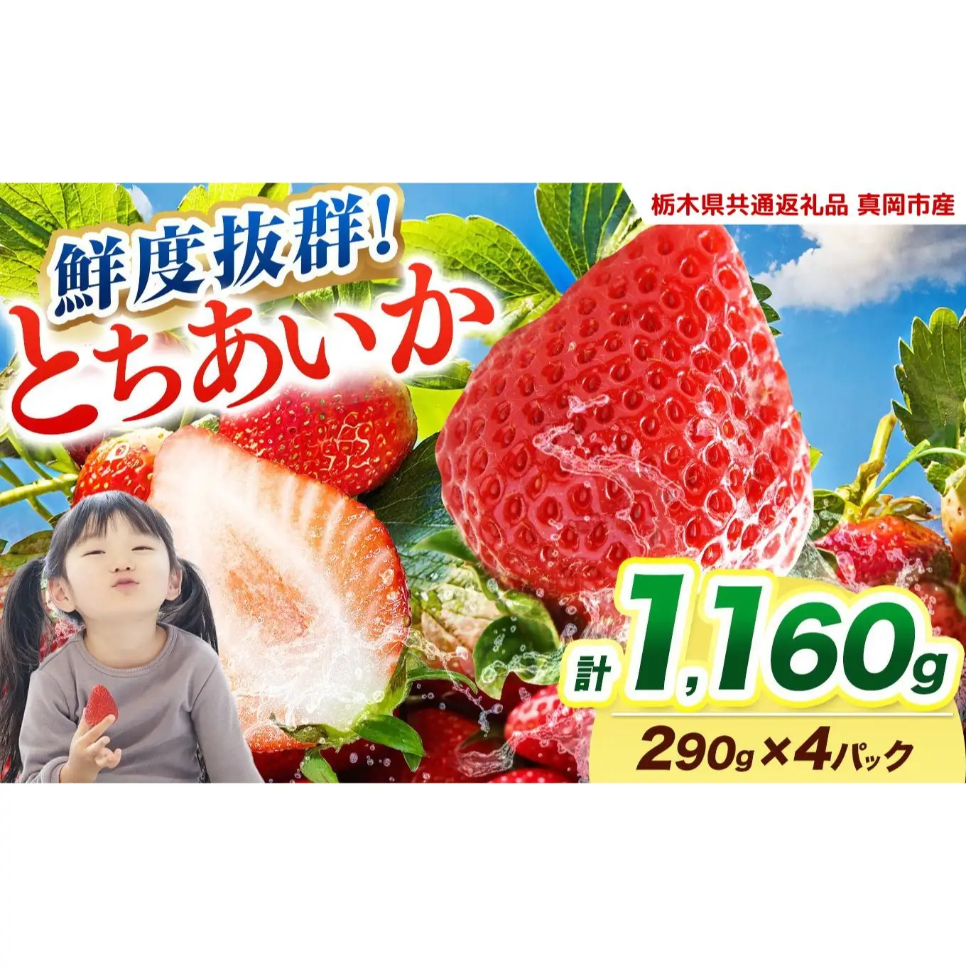  【2027年先行予約】鮮度抜群 いちご とちあいか 290g×4P【栃木県共通返礼品 真岡市産】 栃木県矢板市