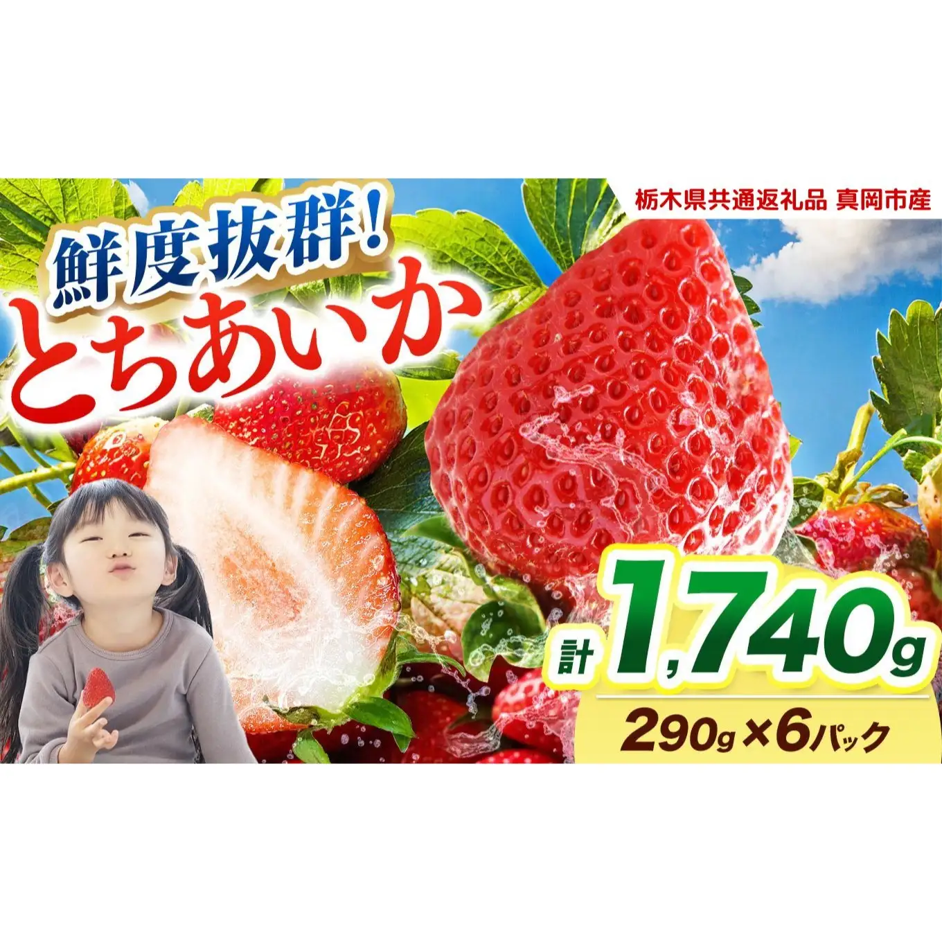  【2027年先行予約】鮮度抜群 いちご とちあいか 290g×6P【栃木県共通返礼品 真岡市産】 栃木県矢板市