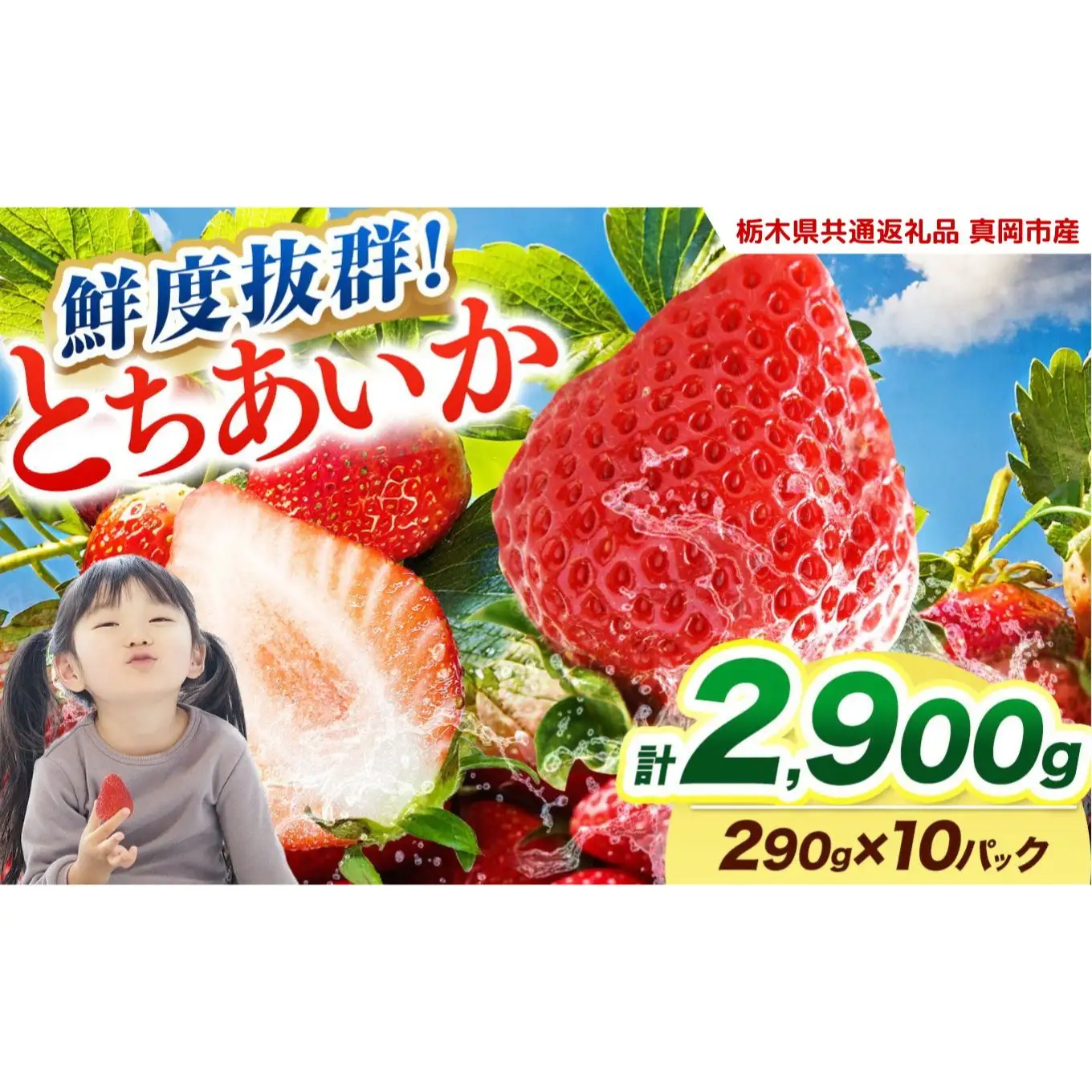  【2027年先行予約】鮮度抜群 いちご とちあいか 290g×10P【栃木県共通返礼品 真岡市産】 栃木県矢板市