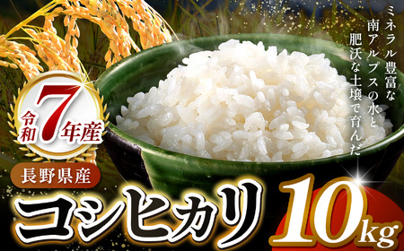 米 お米 コシヒカリ 信州伊那産 令和７年度 伊那市田原産米 コシヒカリ 10キロ 【020-56】