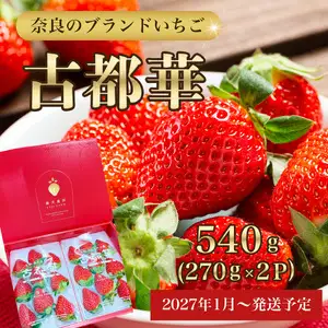 いちご 古都華 270g×2P【R9年1月以降お届け】いちご fuj02