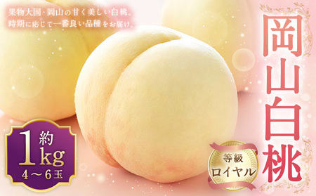 岡山白桃 ロイヤル 4～6玉 約1kg 岡山県産  【2026年7月上旬～8月下旬迄発送予定】 ／ 白桃 桃 もも 果物 果実 フルーツ 岡山県 美咲町 冷蔵
