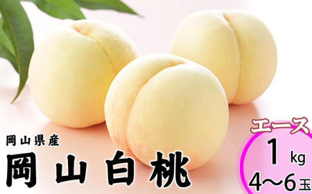 岡山白桃 エース 4～6玉 約1kg 岡山県産  【2026年7月上旬～8月下旬迄発送予定】 ／ 白桃 桃 もも 果物 果実 フルーツ 岡山県 美咲町 冷蔵