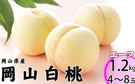 岡山白桃 エース 4～8玉 約1.2kg 岡山県産 【2026年7月上旬～8月下旬迄発送予定】 ／ 白桃 桃 もも 果物 果実 フルーツ 岡山県 美咲町 冷蔵