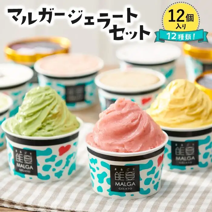 【復興支援】マルガージェラート能登セット（12個入）