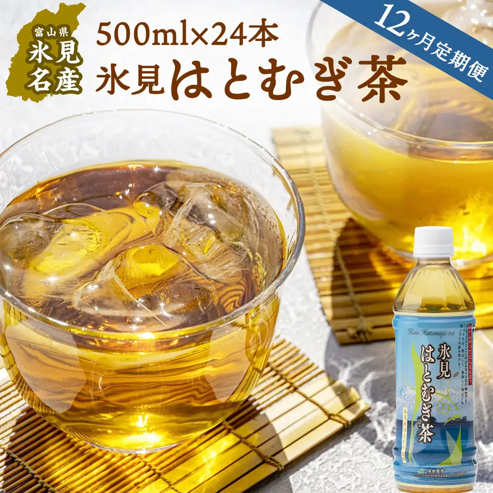 【12ヶ月定期便】 氷見はとむぎ茶 ペットボトル 500ml × 24本