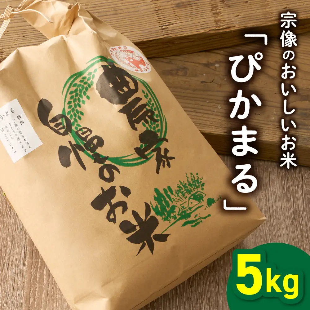 むなかた産 米 ぴかまる 5kg【みきふぁーむ】_HA1543